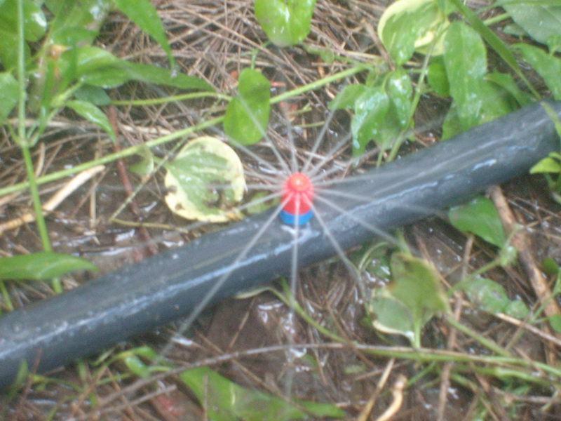 nombre de la foto2